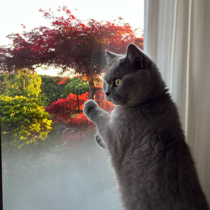 36710d7b 01f0 4782 93f4 8ce0207cd4f8 1682153368878