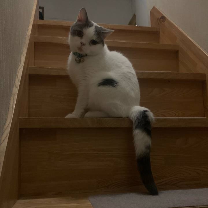 36710f80 b557 4602 a4c6 51c07ac3f6d2 1696075814657