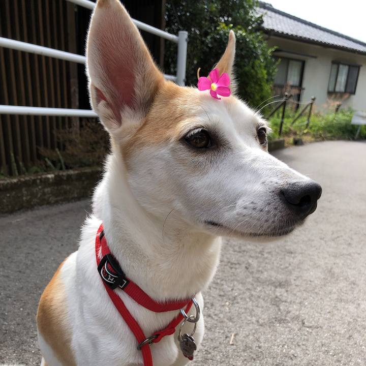 367115dc 3bcd 4ab9 8e6a d4b5683517ec 1603859309941