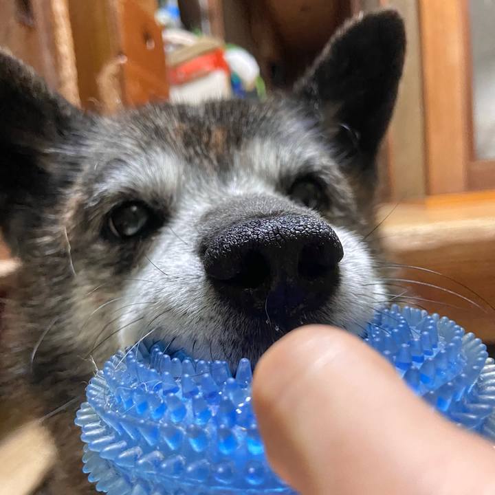 36711dd5 c69e 41c5 a403 deb94ca89a84 1720008875145