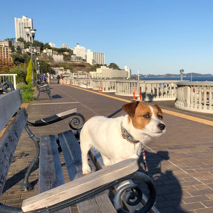 367120fb 7197 449d bf06 36dca4095c2a 1511275529011