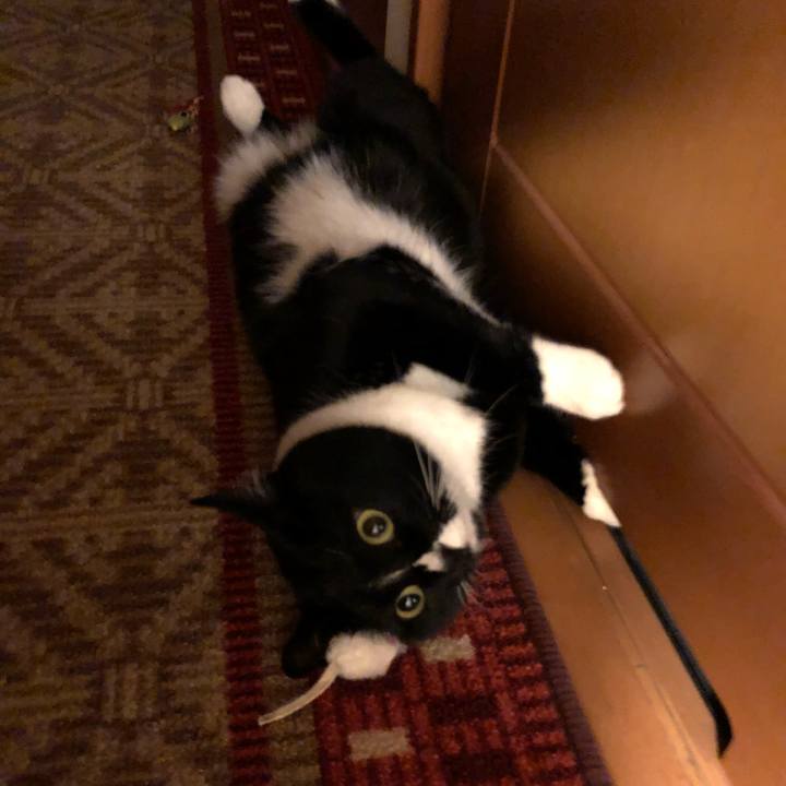 367145f7 5987 4b69 aef1 9fd5aa9dbced 1526939896828