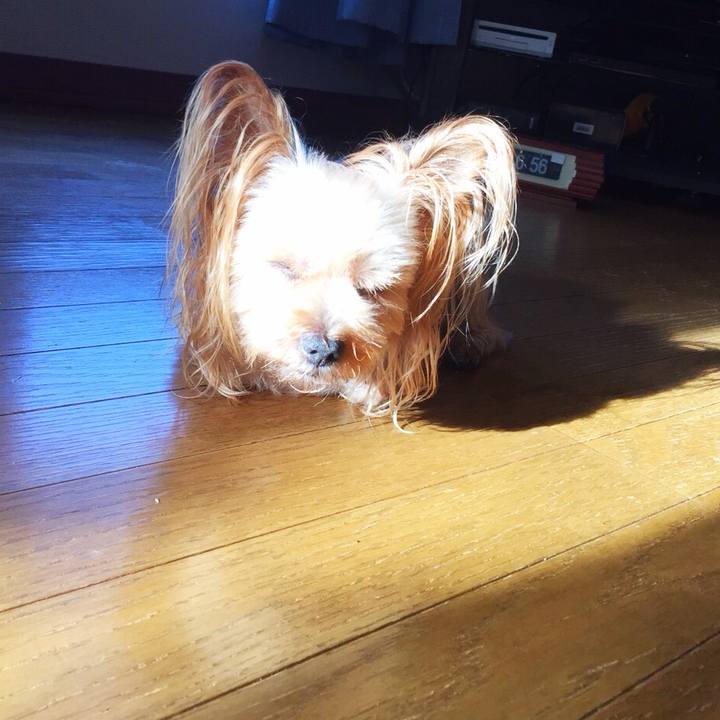 36714ed1 aacf 4939 9021 ddbf3a2a757d 1536617579070