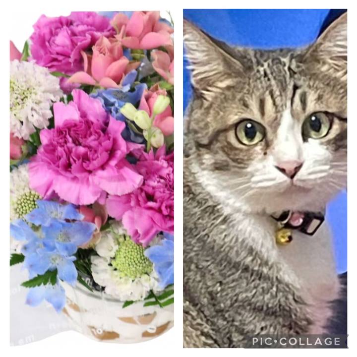 36717e03 b6a3 4323 b78b 4c5154214bee 1762337583486