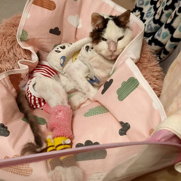 3671c120 933f 4c66 a076 09627e2beaef 1617018950023