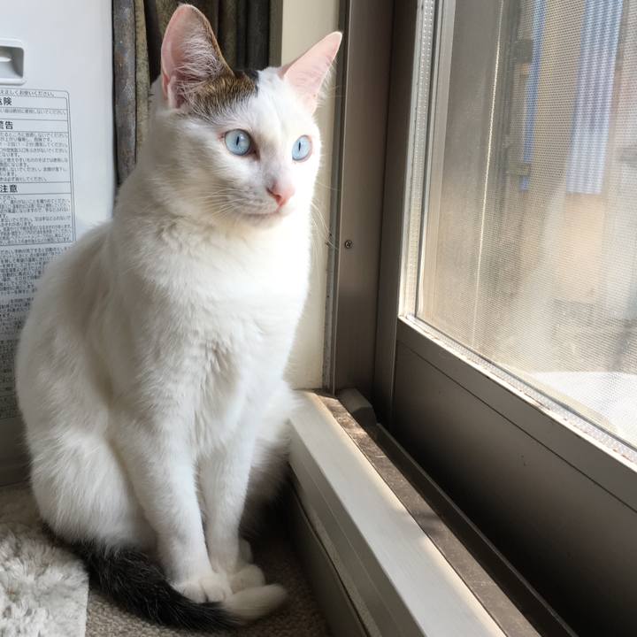 36720003 a6e7 454c 86f9 b590ddfe3649 1554685465684