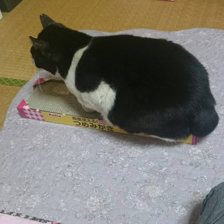 36720a50 4ed3 40be 9116 4fe5473f16a4 1515383077326