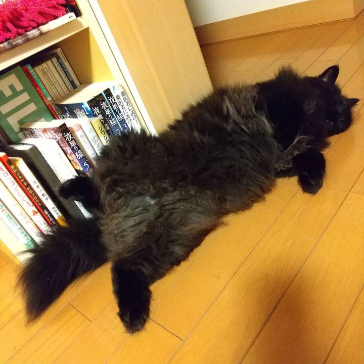 3672133b 9f98 49ae b86b f95fc1e8ddc5 1596196496664