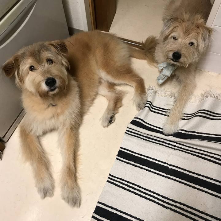 36722122 78f6 41fa 91bd 998aba3373db 1534995099951