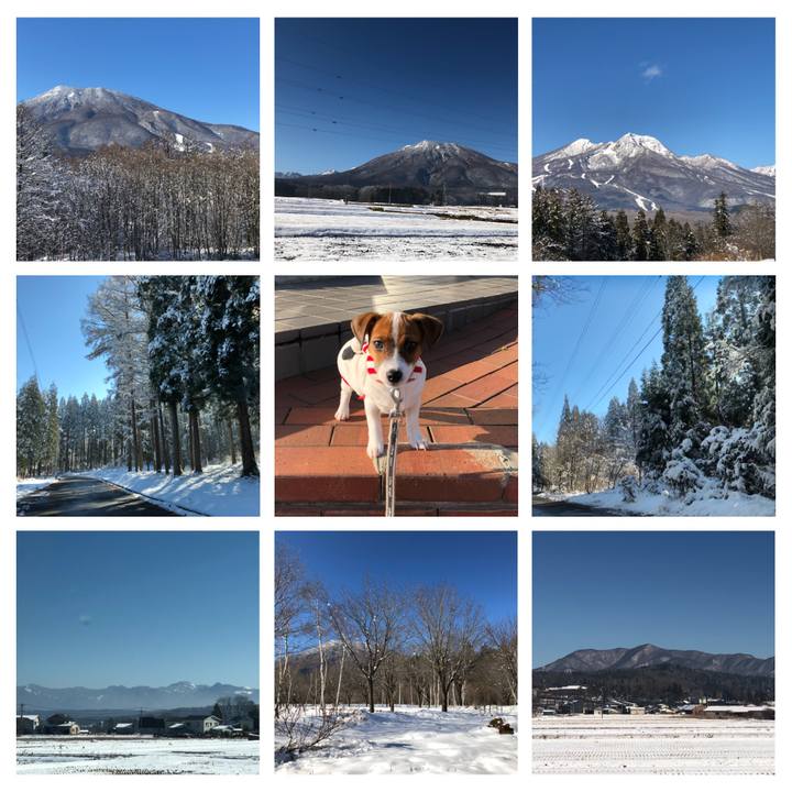 3672732e fffe 488a 8ed0 69ae95d36493 1512641023291