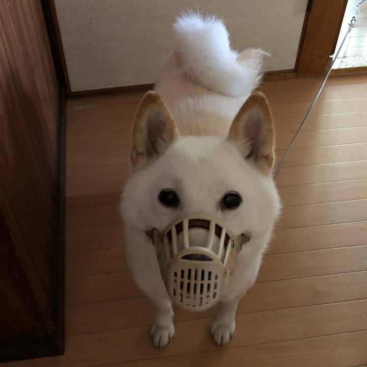 36729d8c 9cf1 4f2a b0fc 277097d6a562 1564707869610