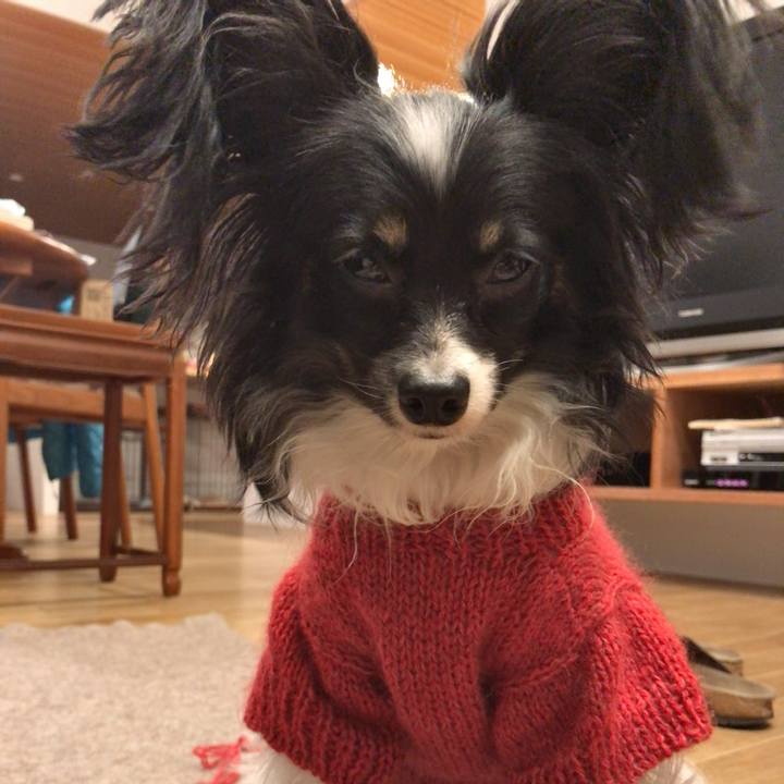 3672a3c8 fa84 4bf2 8f8e de0f0fad2357 1518862748819