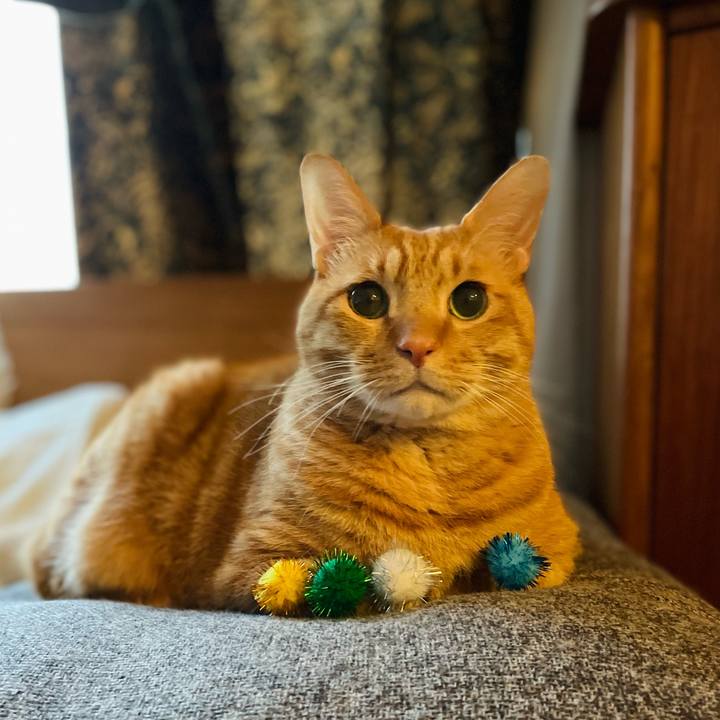 3672d987 e518 4a69 8918 bb8b5e512343 1704436832526