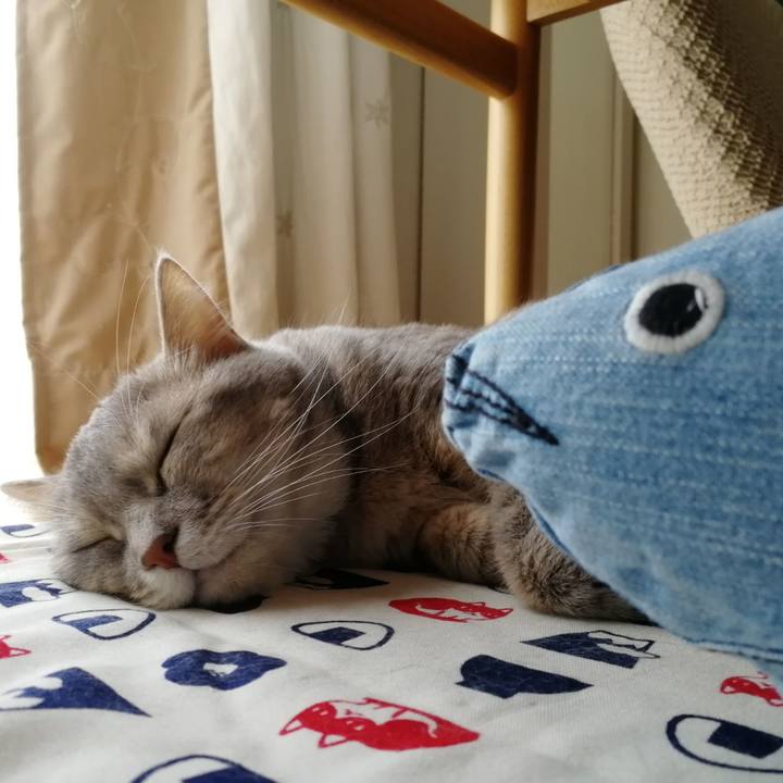 3672f748 cb3c 4204 a380 eb39cbc4e323 1536470188111