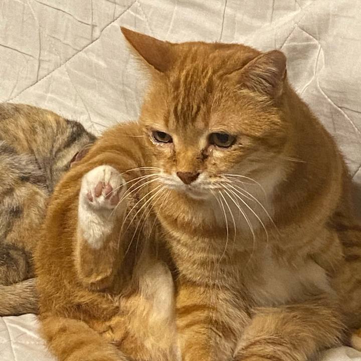 3672f790 c60b 47ec a0f6 4ba42a73bf88 1617794545795