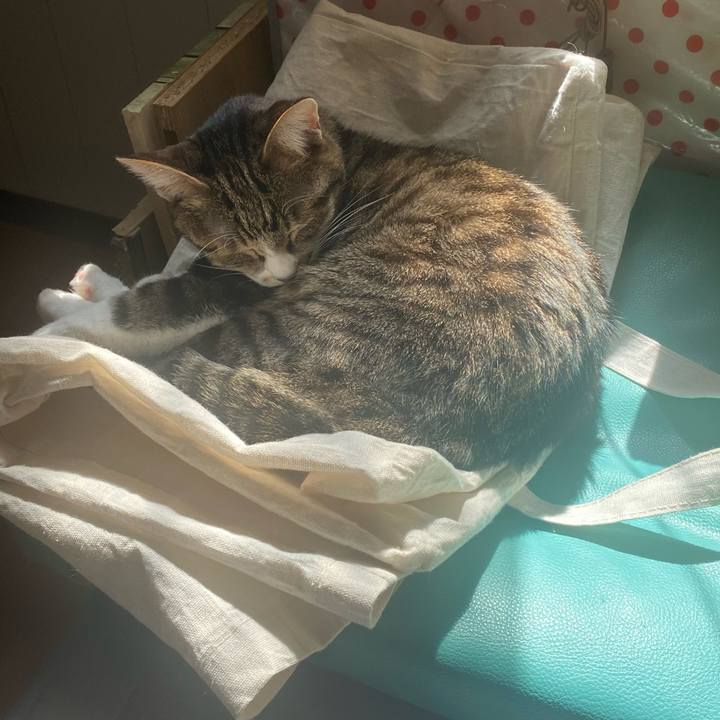 36731777 c6bd 4ae1 bc2a e148cdf8b6e8 1647254636432