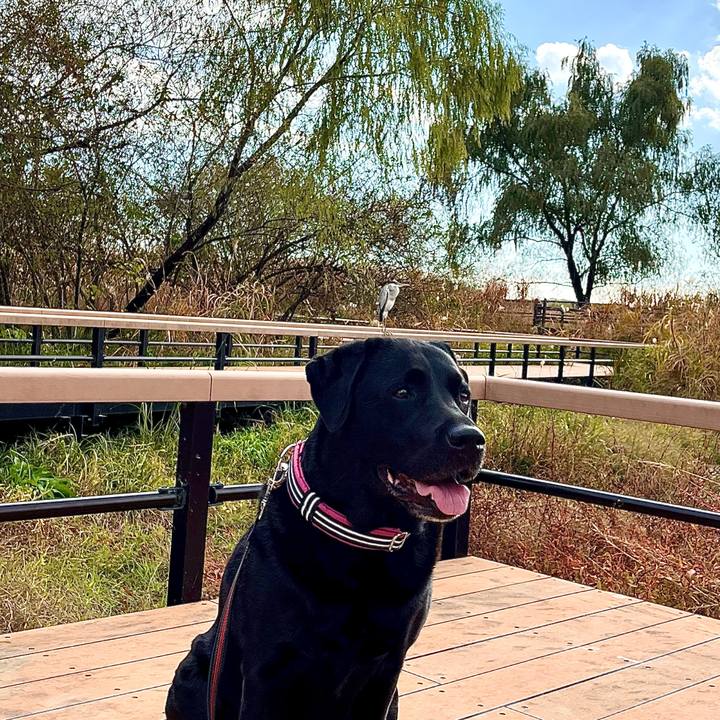 36732d95 8342 4e69 b2c6 77850f1b45ff 1765276691516