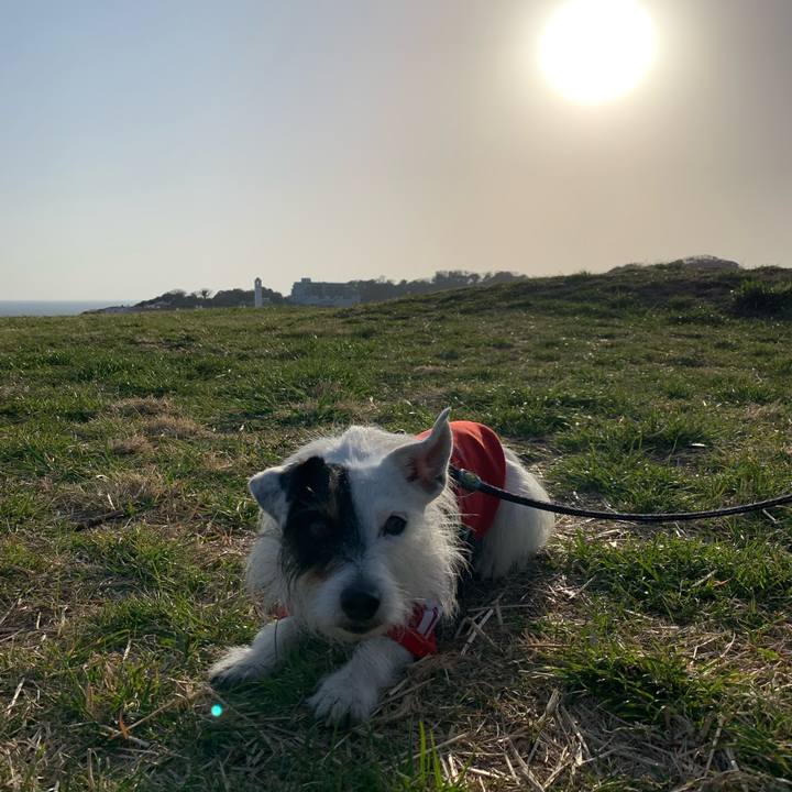 3673438f dcf5 4bb9 b757 ec8993ad262f 1647416549751