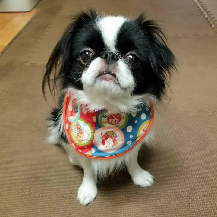 36734479 0252 4d91 a91a e045242d3309 1669546187195