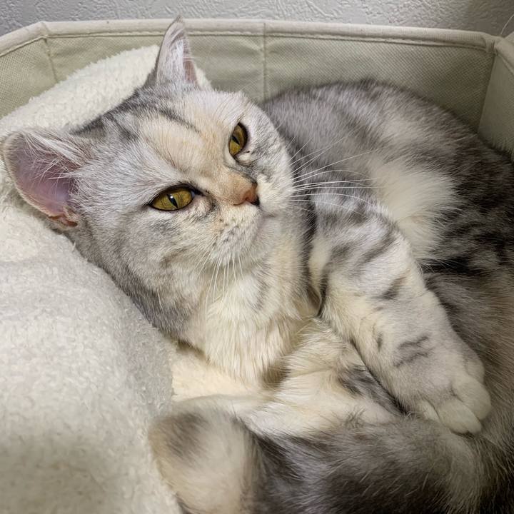 36735de4 d6bc 416f 895d 6e3f318466a6 1710332890838