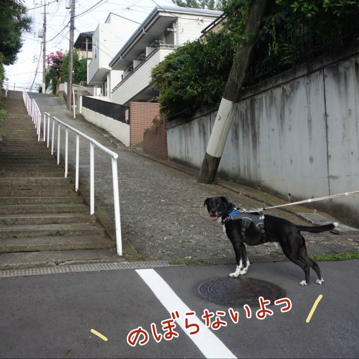 367371c2 761d 4802 a4c2 3552c7435104 1661734188494