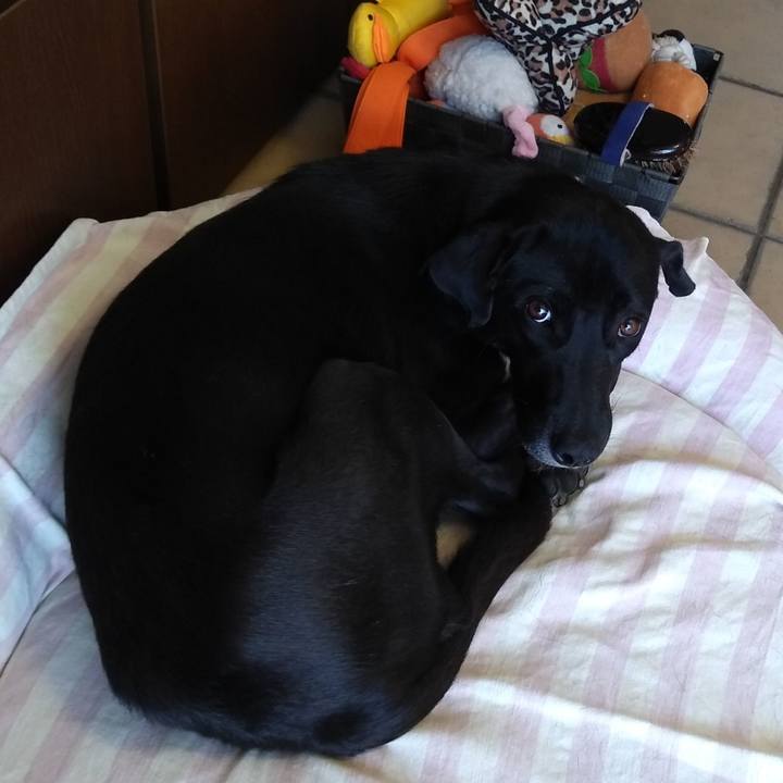 36738e91 7c45 42bb af83 b7e3c9dc6345 1585271487622