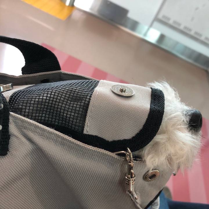 3673cdc8 7a13 4a97 8f41 fafcfc376786 1533963349410