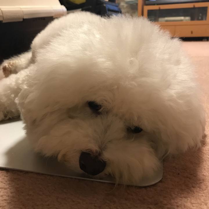 3673d8a4 04a4 4055 8619 c0d956fe1cc4 1528373574618