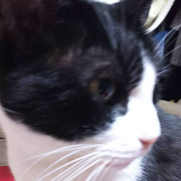 3673e515 1da7 48e4 8440 a00effb987b2 1577224587461