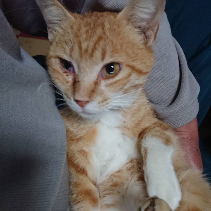 36741766 eff5 4ef6 985c 90c0bdacaf26 1558471871895