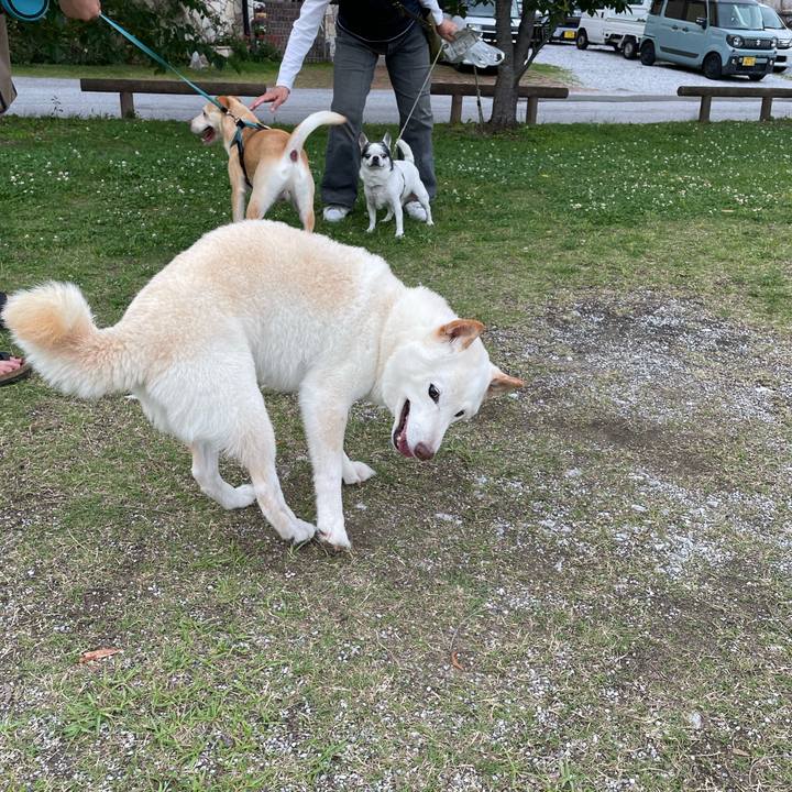 36742bb4 fde0 43c1 8a31 f9aab23b067f 1654099600473