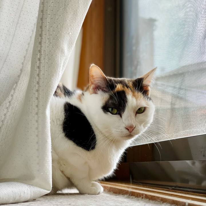 36742ed8 ccdf 4ee0 9170 3357c05fc56a 1623293052926