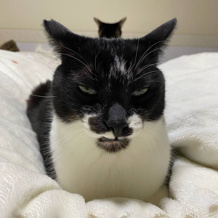 36744ae1 238c 493b b4e8 466b245cfad4 1674920643822