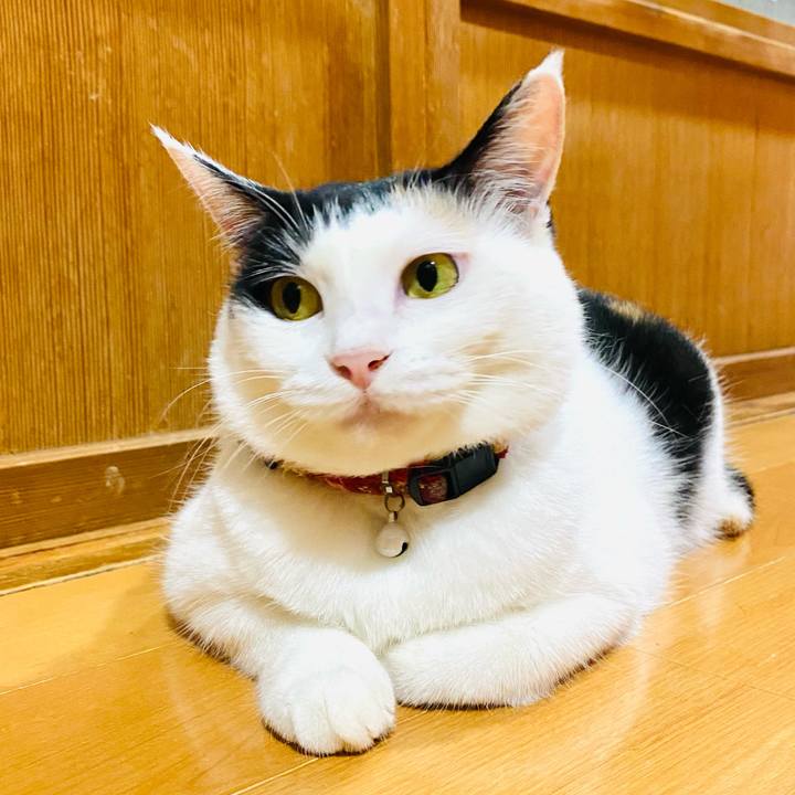 367456ab 2234 4d81 bd06 21f04ef99910 1692279700969