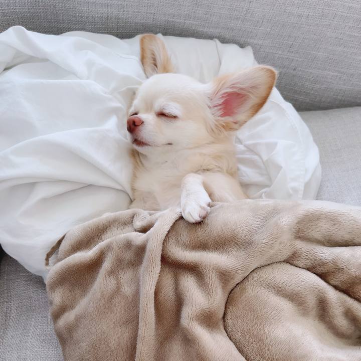 367482a4 ec2d 4be7 8db8 445325b8826b 1690503241873