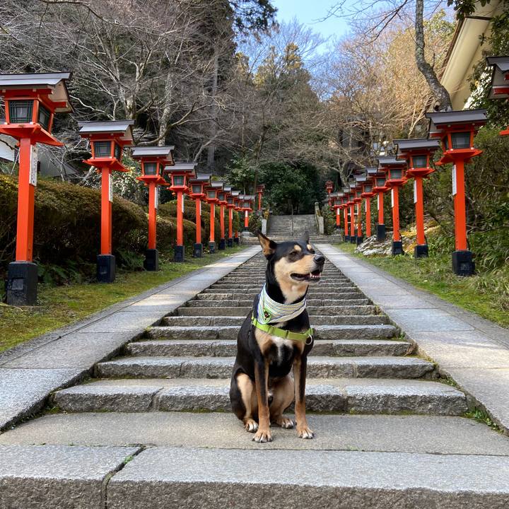 3674a130 bba1 4157 9c66 df8e157553fa 1615379486833