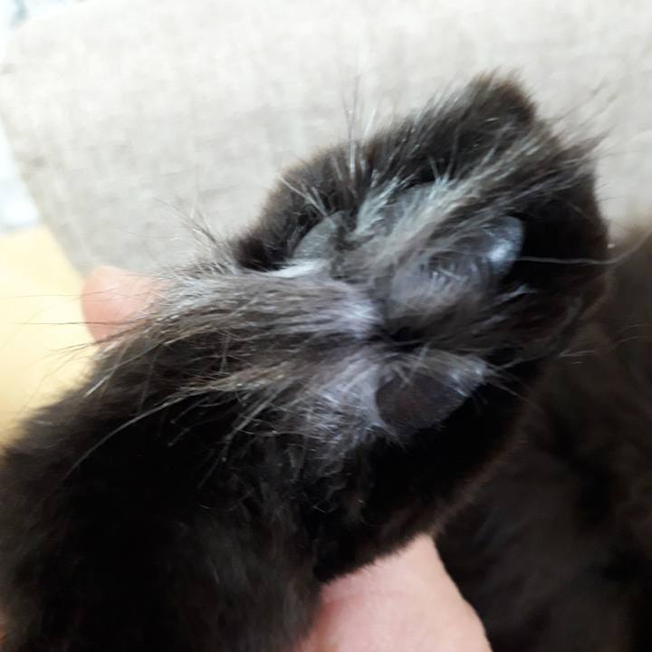 3674c775 bd94 4fcf 8004 c2bdea3f3f0b 1517482351547