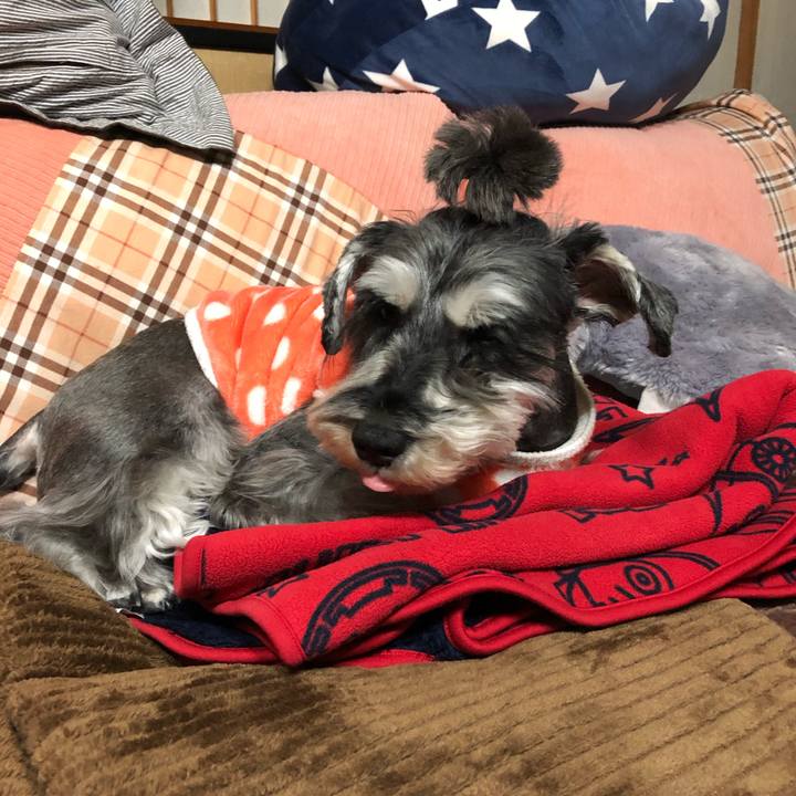 3674e949 d568 4251 9340 47ada2b41a60 1640264503612