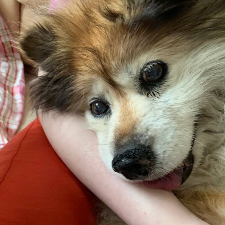 3674f8f0 69f4 4fdc 96a8 4ecbd72f8247 1571702982976