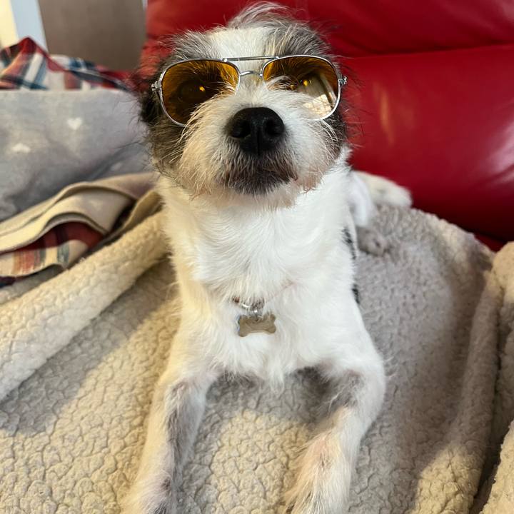 36756d61 7a71 4774 a128 ccc1e308483f 1699003108419