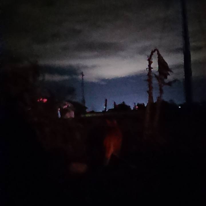 3675733d 6b76 4ba7 994d 7135c6f64b9d 1604567148257