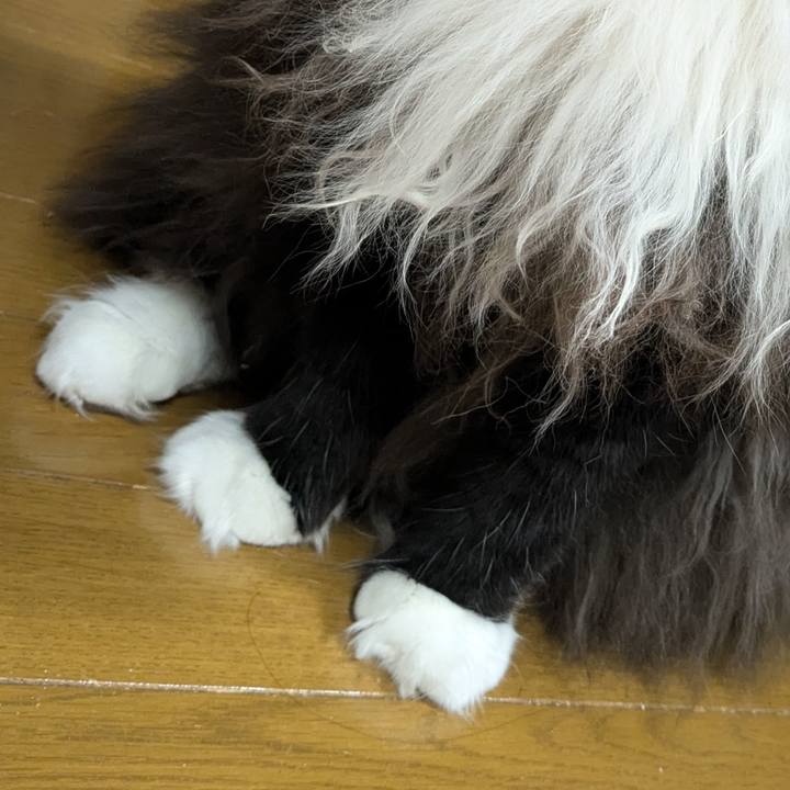 3675915d 5a92 4e57 929f d21ae753504f 1733826693762