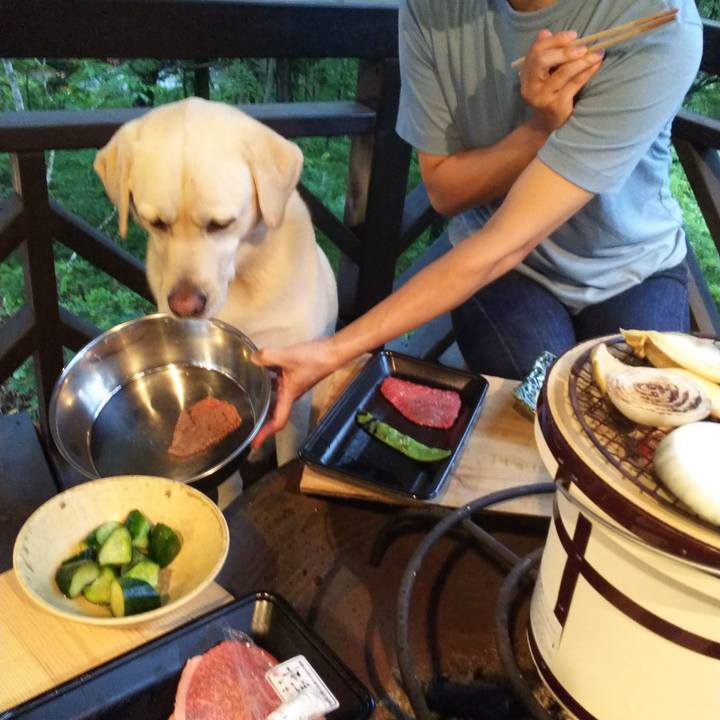 3675d1ad ceec 4950 bd1b 78e8ef8b6def 1565867616836