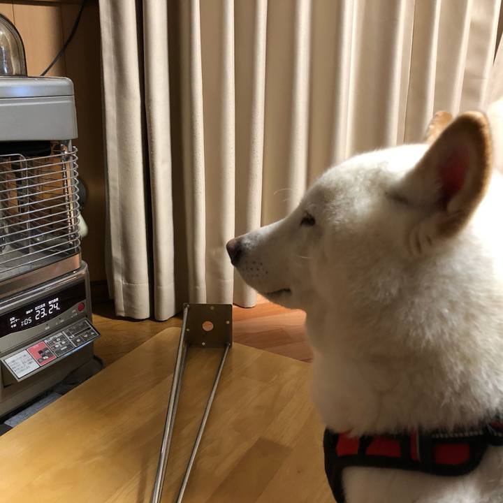 3675f0ee d9a7 456b 9fd1 36487cd585ef 1610789554168