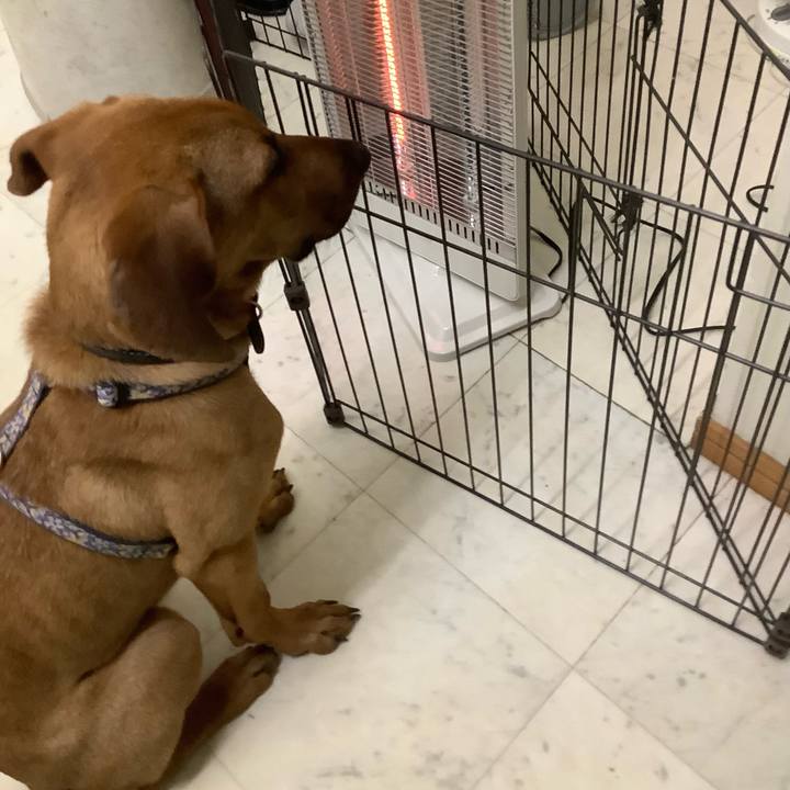 3675f3b2 a665 4185 a994 41f2843c8846 1768053696900