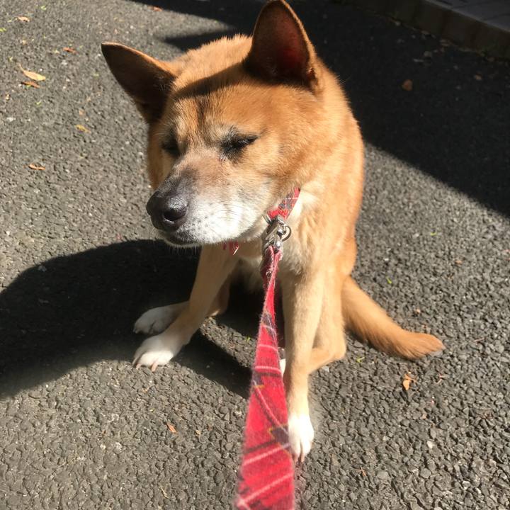 36762bc9 c584 44a7 aefa e7d50340611a 1524875439101