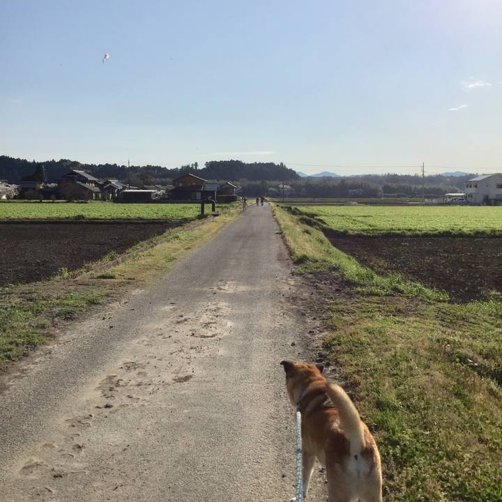 3676778a 247a 46d2 88b1 4c914c563327 1586253774435