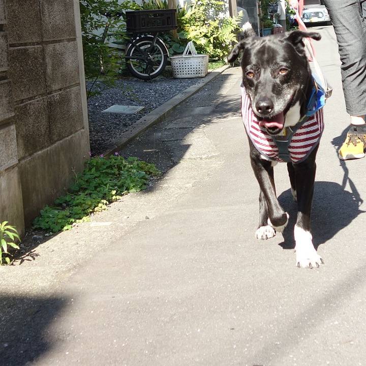 367681cd 1885 4065 b6b8 675e0a94ce85 1718324550683