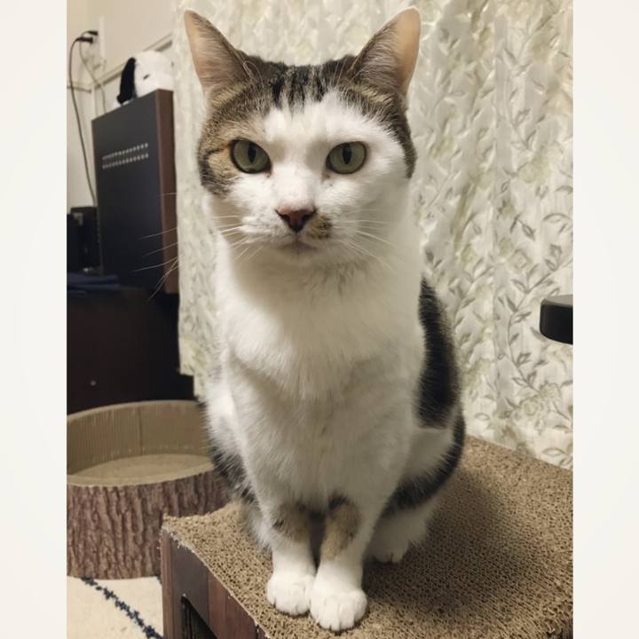 3676a6e0 791d 4548 847a 28852973a7c5 1556865086427