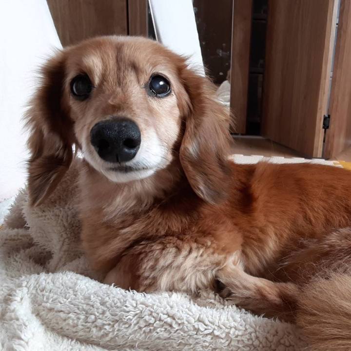 3676ae5e 0d69 4415 a963 d28e10dcd2cb 1646229026942